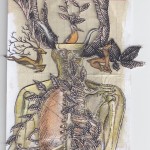 Maria Carmela Milano F