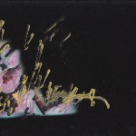 Mario Schifano - Senza titolo, fotografia ritoccata ad olio, 1985-1995, courtesy Galleria Mazzoli 8