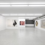 Painting as a Radical Form, veduta della mostra - Collezione Maramotti, Reggio Emilia - foto Dario Lasagni