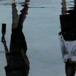 Yuri Ancarani, Vicino al cuore (2003) still da video Courtesy l_artista e ZERO_, Milano