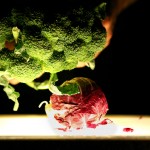The Vegetable Orchestra - photo Heidrun Henke