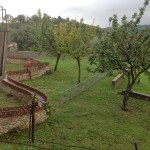 Carlos Garaicoa, 2006, Castello di Ama, photo Valentina Grandini