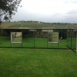Daniel Buren, 2001, Castello di Ama, photo Valentina Grandini