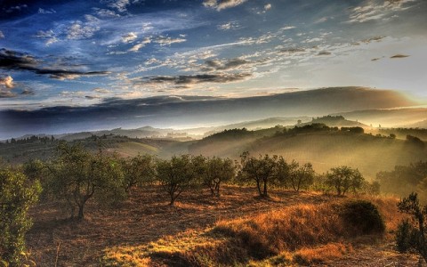 land grabbing 5 Bruceremo le tombe dei nostri padri? L’economia, interesse di tutti