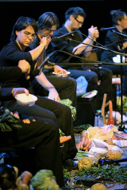 rVO 2008 creditHeidrunHenke The Vegetable Orchestra. Perché ogni cosa può essere suonata