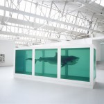 Lo Schermo dell’arte Film Festival 2012 - Damien Hirst Thoughts Work Life di Chris King, 2012