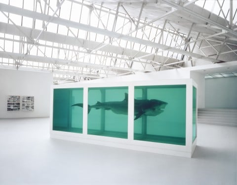 21 Damien Hirst di Chris King 2012 Lo Schermo dell’Arte. Un festival sinestetico