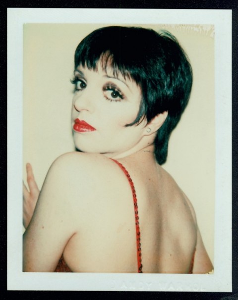 Andy Warhol Liza Minnelli 1970s 15000 20000 Una foto di Liza Minnelli e una serigrafia di Lenin. Insieme ad altre 19.998 opere saranno all'asta per conto della Andy Warhol Foundation, che è in cerca di fondi. A Nyc con Christie's, poi on line