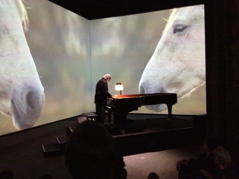 IMG 7383 La Camargue sognata da Doug Aitken (e Terry Riley)