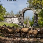 Sesto classificato - Milarix, Area archeologica di Carsulae presso Terni