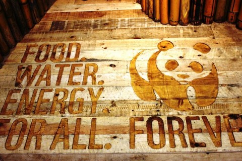 WWF 1 Quando il design è etico. Un concorso per progettare energia pulita, asso nella manica per un sano sviluppo socio-economico. Scade a fine mese il bando di Utilità Manifesta