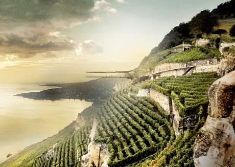 dezeen Wine Museum in Lavaux by Mauro Turin Architectes ss 3 Metti un museo tra la montagna e il cielo, sospeso sul lago. L'edificio di Mauro Turin celebra i vigneti nei dintorni di Ginevra. Quando l'immaginazione decide di sfidare il paesaggio