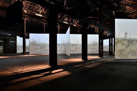 herve hote Luma Fundation oct 2012 9 Arles come Bilbao. Doug Aitken per la Luma Foundation