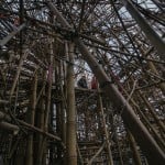 Doug e Mike Starn - Big Bambù, Macro Testaccio, Roma 7