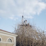 Doug e Mike Starn - Big Bambù, Macro Testaccio, Roma 8