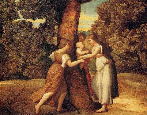 Sebastiano Del Piombo Il Tiziano mai (s)visto: il quadro della discordia?