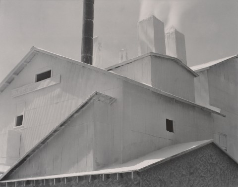 Edward Weston Plaster Works Los Angeles 1925 Il grand tour di Edward Weston