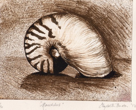 Elizabeth Burton Australia Nautilus Giorgio Morandi a cinquanta anni dalla morte. A Bologna le celebrazioni partono un anno prima: con una mostra internazionale (e itinerante) di incisioni