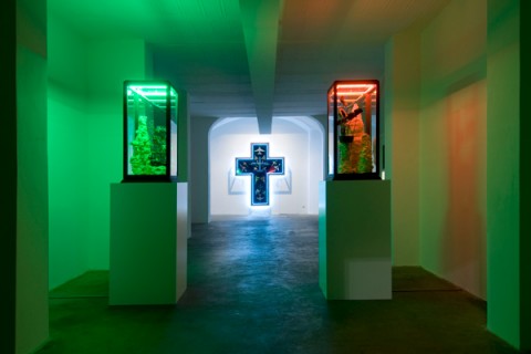 Zhivago Duncan – Papillon – veduta della mostra presso Poggiali e Forconi, Firenze 2012