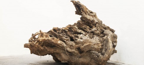 Jimmie Durham - Wood, stone and friends - veduta della mostra presso Palazzo Reale, Napoli 2012
