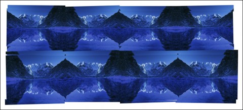 Stefano Zardini - M.I.N.E. Multiple Infringing Nature Expression