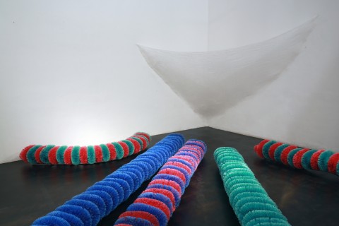 Pino Pascali - Cinque bachi da seta e un bozzolo - veduta della mostra presso L’Attico, Roma 2013