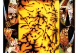 Nino Migliori, da Moebius, Chocolife, 2007