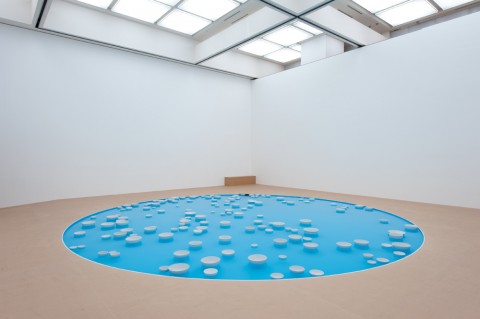 Céleste Boursier-Mougenot, Clinamen, 2012 - photo Norihiro Ueno