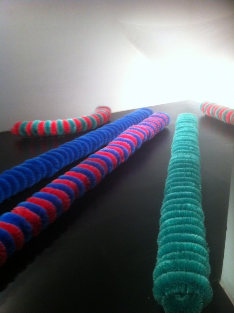 Cinque bachi da setola e un bozzolo, galleria L’Attico, Roma 1