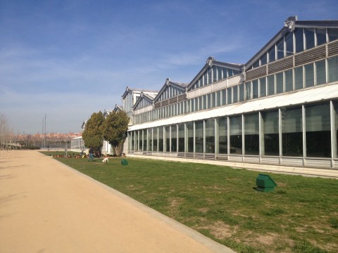 Matadero, Madrid 9