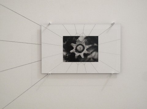 Michele Guido - robn_23.02.2011_03.04_ottagono s.p.m._2011 - 2013 - Courtesy Z2O Sara Zanin Roma