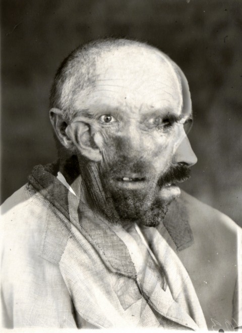 Cristian Fogarolli, Mugshot III_mad, 2012