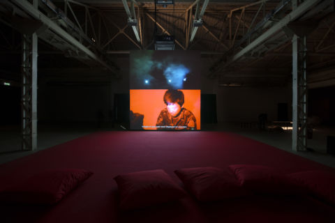 Apichatpong Weerasethakul - Primitive - veduta della mostra presso l'Hangar Bicocca, Milano 2013 - photo Agostino Osio