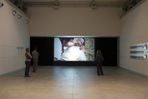 Apichatpong Weerasethakul - Primitive - veduta della mostra presso l'Hangar Bicocca, Milano 2013 - photo Agostino Osio