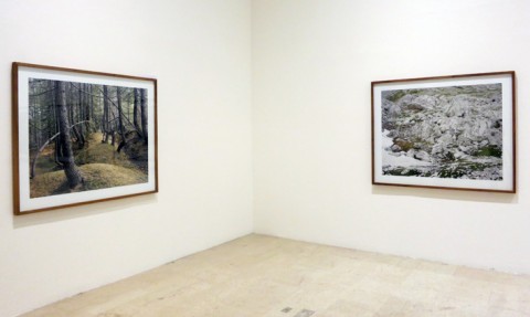 Paola De Pietri - To Face - veduta della mostra presso la Triennale, Milano 2013