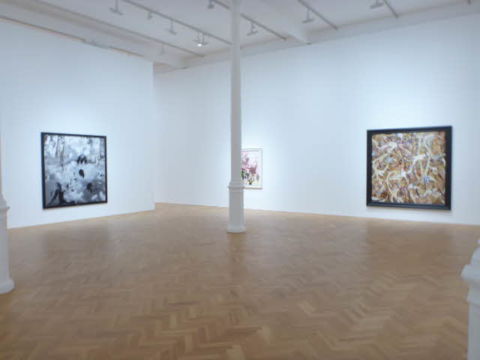 Keith Tyson - Panta Rhei - veduta della mostra presso la Pace Gallery, Londra 2013