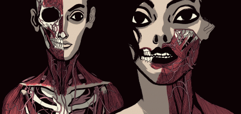 Nicolò Pellizzon, Lezioni di Anatomia