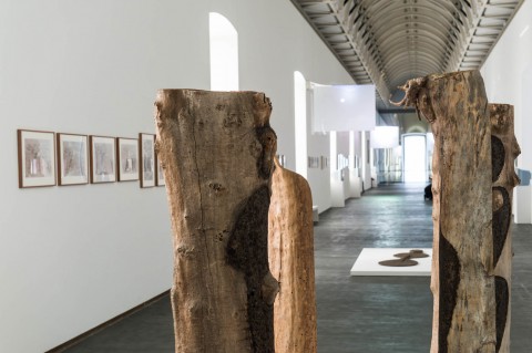 Ana Mendieta - She got love - veduta della mostra presso il Castello di Rivoli, Rivoli 2013