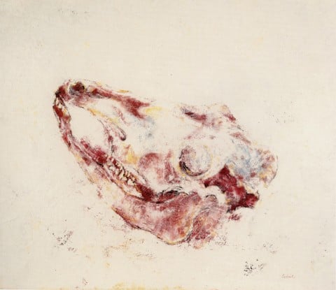 Giovanni Testori, Bucranio, acquerello su cartone, 75 x 85 cm, 1977