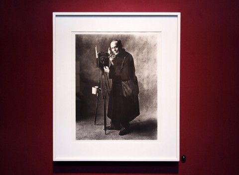 Etherton Gallery (Irving Penn) @ AIPAD