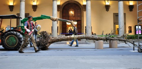 Federico Gori - Di fragilità e potenza, cortile di Palazzo Strozzi, Firenze 2