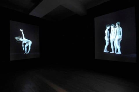 David Michalek – Figure Studies installation view – courtesy Galleria Poggiali e Forconi, Firenze 2013