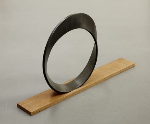 Markus Raetz, Ring, 2009-10 - Courtesy Galleria Monica De Cardenas, Milano-Zuoz