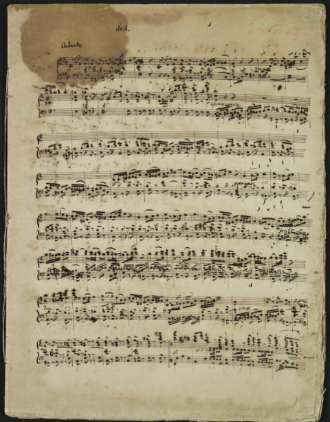 Gianni Capua, Richard Wagner. Diario veneziano di una sinfonia ritrovata - autografo di Richard Wagner, andante della Sinfonia in Do trascritto per pianoforte - Library of Congress di Washington