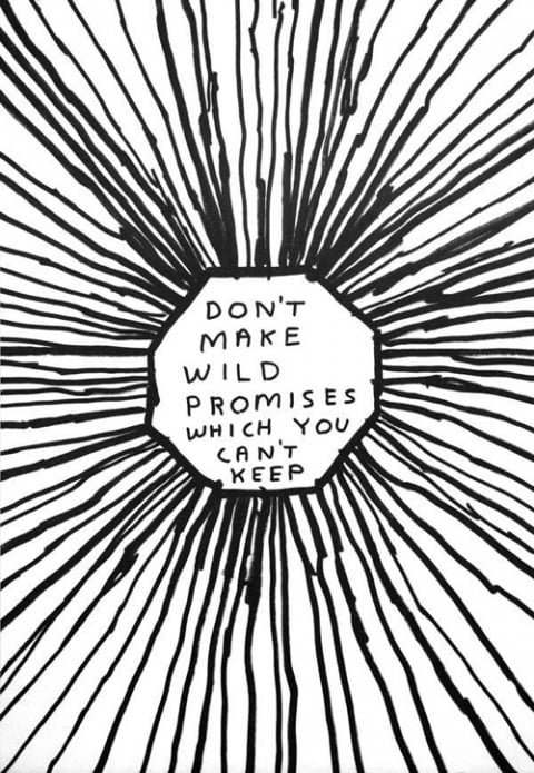 David Shrigley, Don’t make wild promises which you can’t keep, 2004