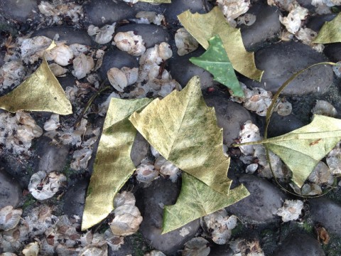 Fall and Rising, Fall and Rising, Fall and Rising - Mirko Canesi