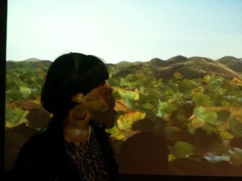 The Garden of Forking Paths - veduta della mostra presso l'OCAT, Shanghai 2013