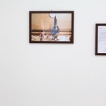 Pierfabrizio Paradiso - Wunderkammer. Rileggere è un mestiere difficile per chi non è abituato a dimenticare - 2013 - courtesy l'artista
