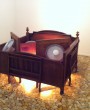 Nari Ward - Iris Hope Keeper, Galleria Continua, San Gimignano 7