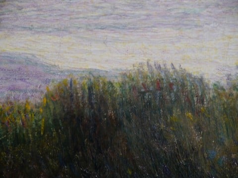 Pellizza da Volpedo, un dettaglio del "Paesaggio"